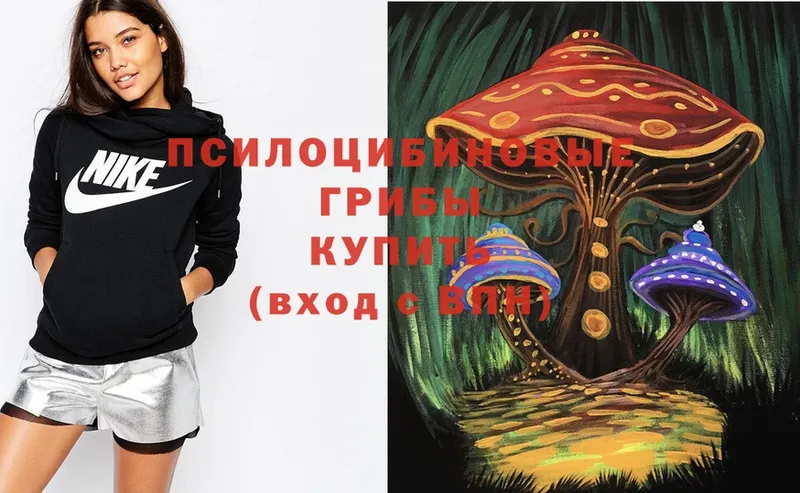 Псилоцибиновые грибы Psilocybe  Донецк 